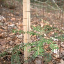 Lade das Bild in den Galerie-Viewer, NEU! Pamminger Einzelschutz -patentiert