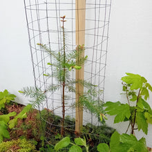 Lade das Bild in den Galerie-Viewer, NEU! Pamminger Einzelschutz -patentiert